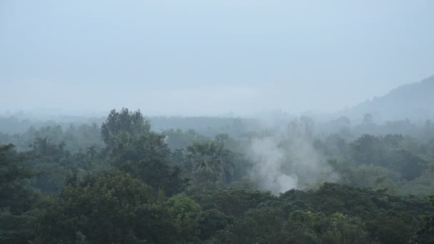 Paisaje Niebla Flotando Pico Montaña — Vídeos de Stock