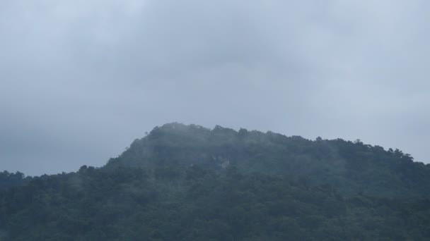 Paisaje Niebla Flotando Pico Montaña — Vídeos de Stock