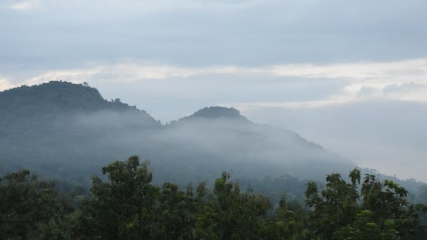 Paisaje Niebla Flotando Pico Montaña — Vídeos de Stock