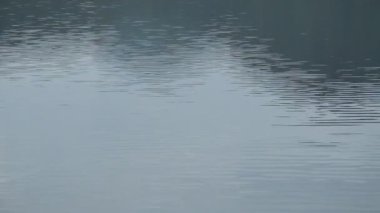 et kalınlığı ile yivli su ve göl arka plan ve doku üzerinde yayılan