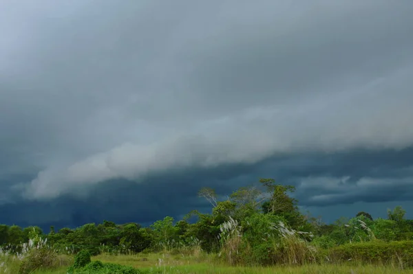 Rizière en Thaïlande avec fond nuage de pluie sombre — Photo