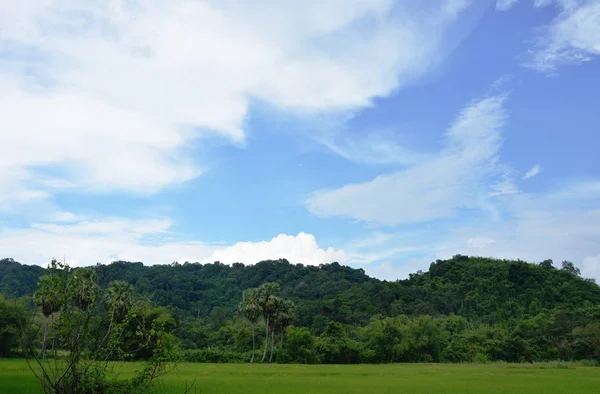 Paisaje Montaña Arrozal Día Soleado —  Fotos de Stock