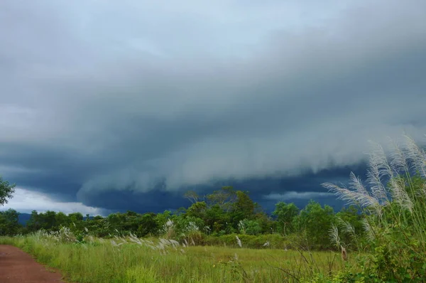 Rizière Thaïlande Avec Fond Nuage Pluie Sombre — Photo