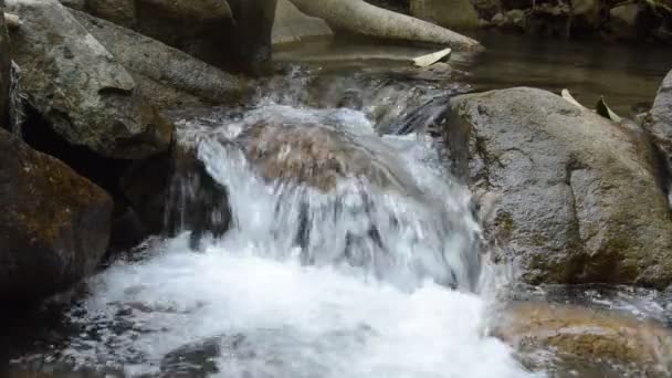 岩の上を流れる水や川の中で水しぶきを波 — ストック動画