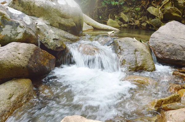 水穿过森林中的河流通道岩石和石头 — 图库照片