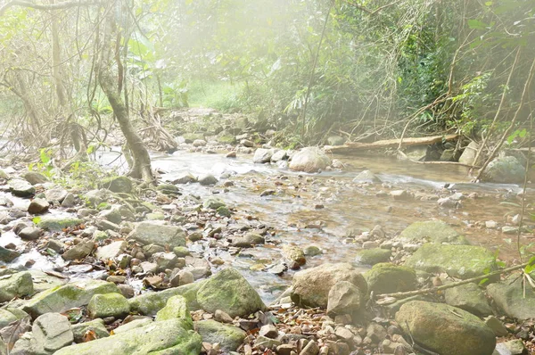 Agua Corre Través Del Río Pasa Roca Piedra Bosque —  Fotos de Stock