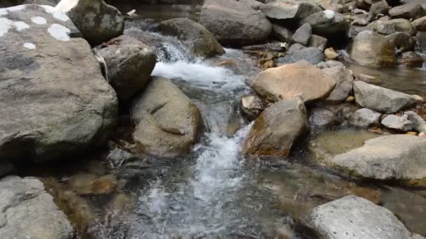 Vatten Kör Genom Floden Passera Rock Och Sten Forset — Stockvideo
