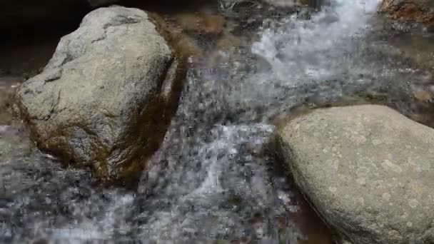 Nehir Geçişi Taşı Çalıştırmak Forset Içinde Taş — Stok video