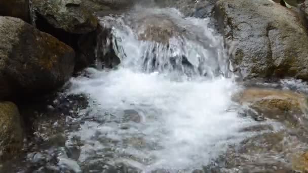 Acqua Scorre Attraverso Passo Del Fiume Roccia Pietra Forset — Video Stock