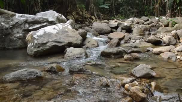 水通过河流通过岩石和石头在伪造 — 图库视频影像
