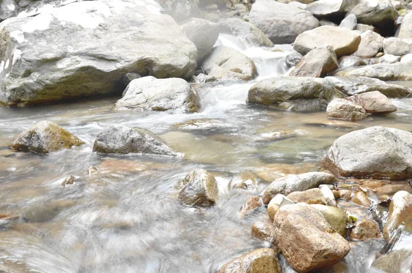 L'acqua scorre attraverso il passo del fiume roccia e pietra nella foresta — Foto Stock