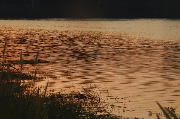 Água Ondulada Espalhando Pôr Sol Reservatório Wang Bon Tailândia — Fotografia de Stock