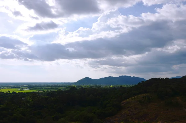 Paysage Champ Fleurs Herbe Soufflant Vent Sur Montagne Khao Lon — Photo