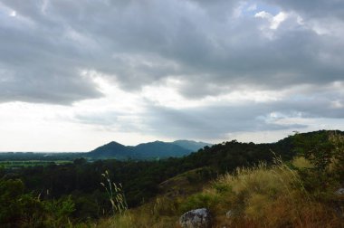  çimen çiçek alan tepede Tayland Khao Lon Mountain