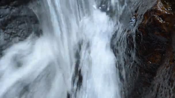 Acqua Che Cade Sul Fiume Passa Roccia Pietra Nella Foresta — Video Stock