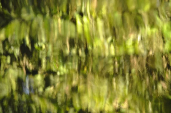 Wazig Van Zonlicht Reflectie Het Wateroppervlak Stroomt Rivier — Stockfoto