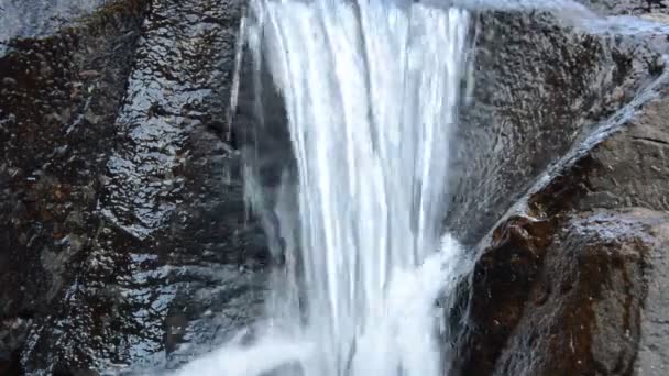 Acqua Che Cade Sul Fiume Passa Roccia Pietra Nella Foresta — Video Stock