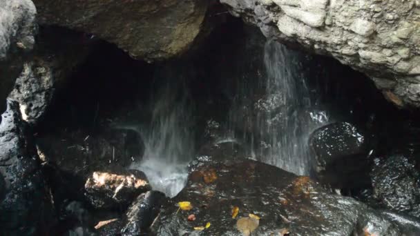 Cascada Cueva Detrás Roca Bosque — Vídeos de Stock