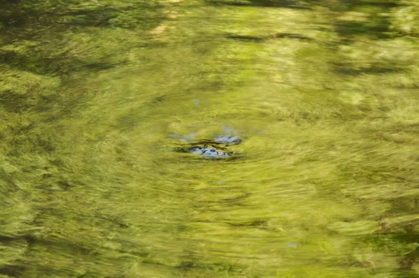 Agua Correr Través Del Río Golpeó Roca Hacer Ondulado Bosque —  Fotos de Stock