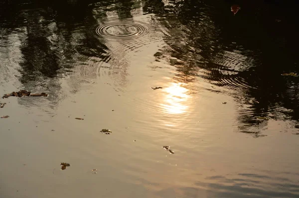 Отражение Солнечного Света Поверхности Воды Канале — стоковое фото