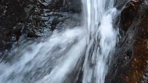 Acqua Che Cade Sul Fiume Passa Roccia Pietra Nella Foresta — Video Stock