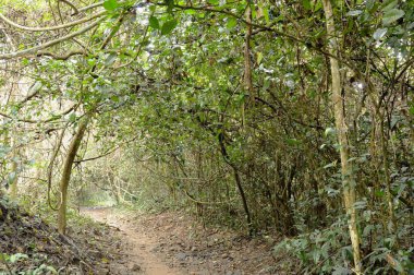  foothpath Jetkod-Pongkonsao, şelale için seyahat Tayland konumu