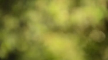 su yüzey temizlemek için nehir izleyin odakta akan üzerinde güneş ışığı yansıması bulanık