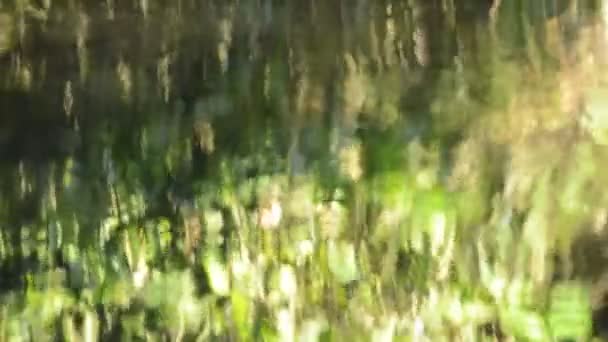 流れる川の水の表面での太陽光の反射 — ストック動画