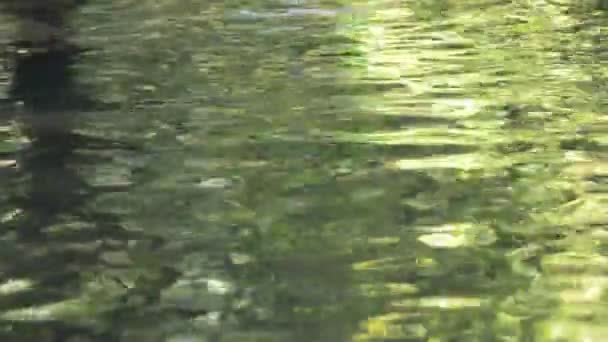 流れる川の水の表面での太陽光の反射 — ストック動画