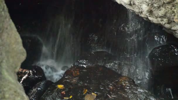 Cascata Grotta Dietro Roccia Nella Foresta — Video Stock