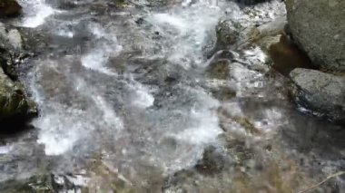 Nehri geçmek kayada düşen su ve orman içinde taş