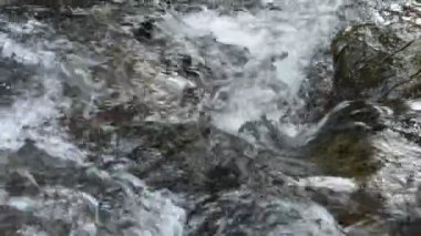 Nehri geçmek kayada düşen su ve orman içinde taş