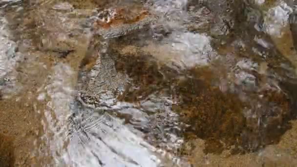 Agua Que Cae Sobre Río Pasa Roca Piedra Bosque — Vídeo de stock