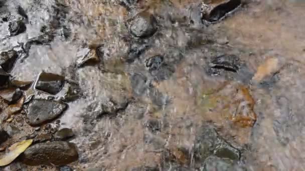 Water Falling River Pass Rock Stone Forest — Stock Video