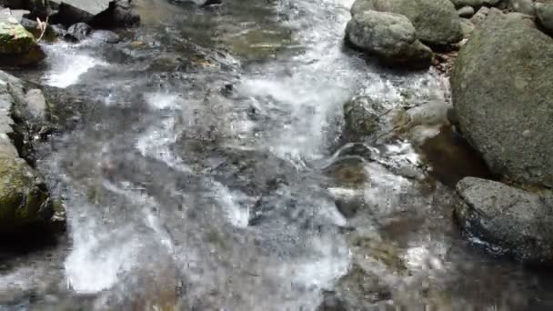 Вода Падающая Реку Проходит Скалу Камень Лесу — стоковое видео