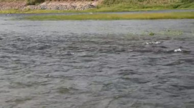 Akan su dalgalanır ve nehirde dalgalanır.