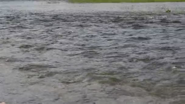 Wasser Fließt Machen Welle Und Plätscherte Auf Fluss — Stockvideo