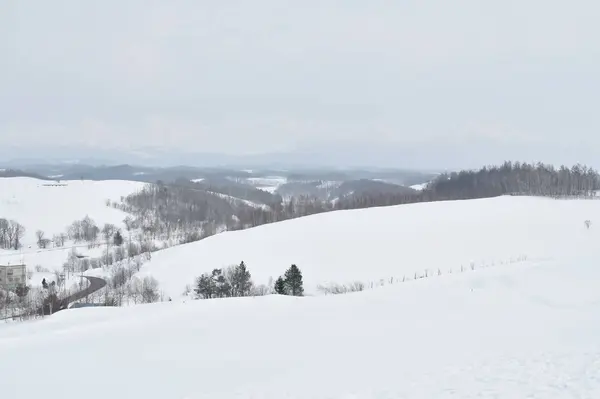 Краєвид поле снігу на горі в Хоккайдо, Японія — стокове фото