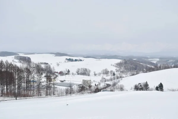 Краєвид поле снігу на горі в Хоккайдо, Японія — стокове фото