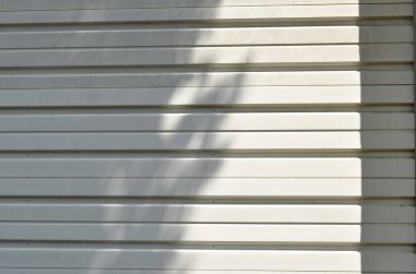  beyaz demir Louvre kapı doku ve arka plan üzerinde ağaç gölge