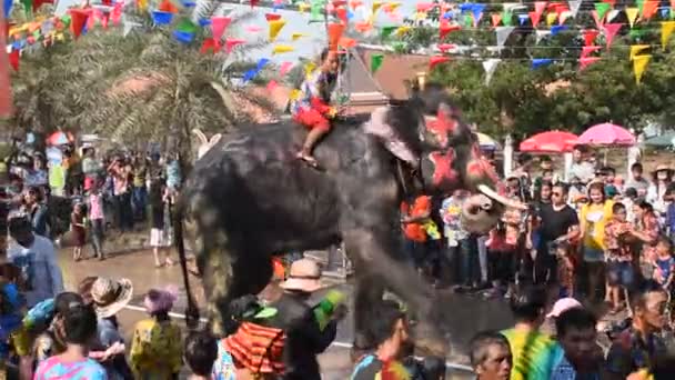 Ayutthaya Thailand April 2019 Elefant Planscht Beim Songkarn Festival Zwischen — Stockvideo