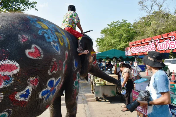 Pessoas alimentando frutas para elefante no festival Songkarn — Fotografia de Stock
