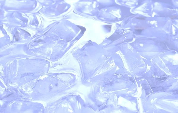 Ledová kostka plovoucí na vodě v plastové liště — Stock fotografie