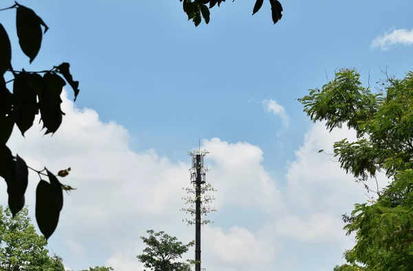 Pólo de telecomunicações com crescimento de plantas no fundo da nuvem e do céu — Fotografia de Stock