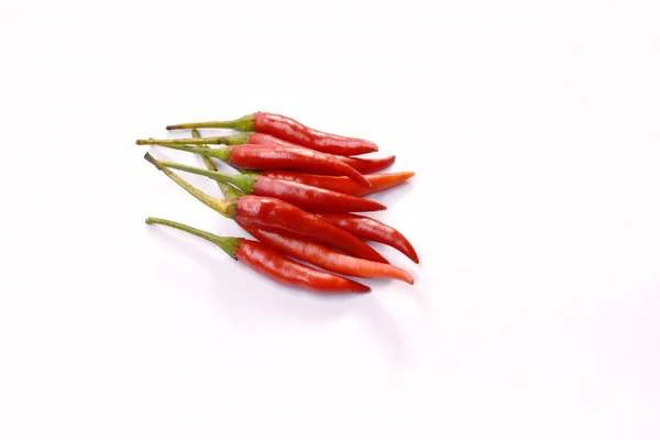 Red chili herb and ingredient arranging on white background — Stock Photo, Image