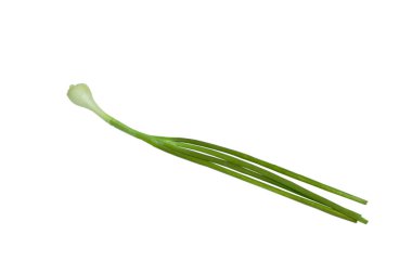 beyaz arka plan üzerinde bahar soğan veya taze sebze