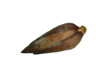 beyaz arka planda muz çiçeği çiğ gıda