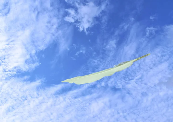 Weiße Vogelfeder Schwebt Auf Hellem Himmelshintergrund — Stockfoto