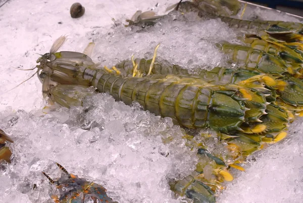 Kreilvis of mantis garnalen bevroren op ijs voor het koken in restaurant in Thailand — Stockfoto