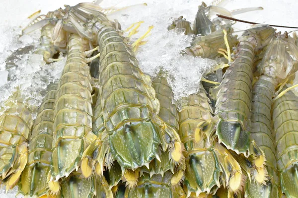 Lagostins ou mantis camarão congelado no gelo para cozinhar no restaurante na Tailândia — Fotografia de Stock